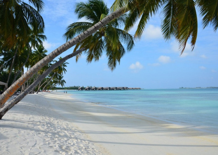 Maldives Pesonanya Maladewa Indonesia, Pantai Eksotis di Lamongan