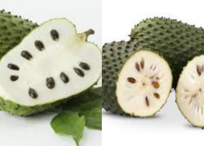 Meningkatkan Sistem Kekebalan Tubuh Inilah Manfaat Buah Sirsak Untuk Kesehatan!