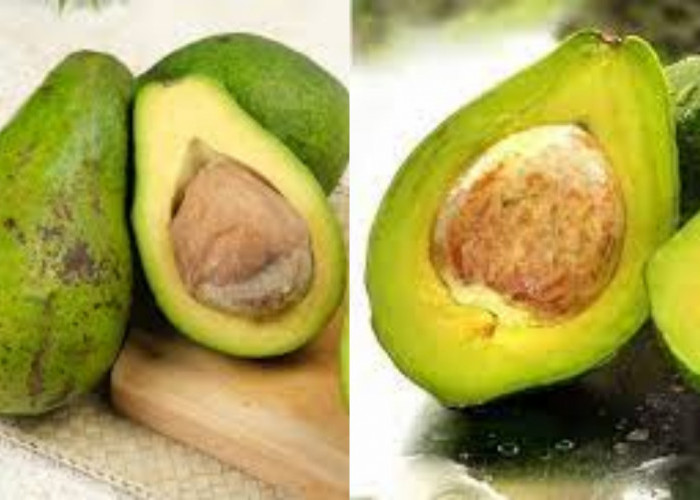 Manfaat Buah Alpukat Bagi Kesehatan Tubuh Dan Kulit 