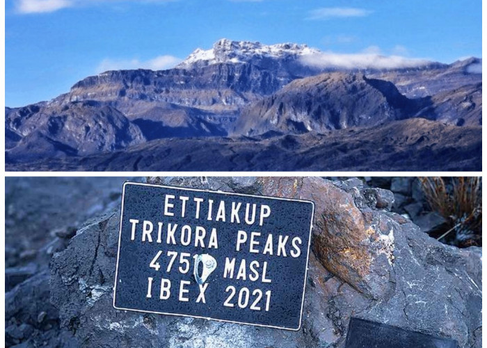 Menelusuri Sejarah Gunung Trikora: Jejak Alam dan Kolonial di Punggung Papua!