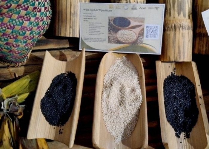 Ingin Tahu Obat Tradisional Aceh yang Ampuh? Temukan Di Sini!