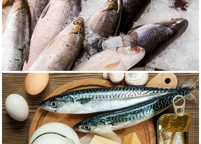 Ikan Bandeng: Sumber Protein dan Nutrisi untuk Menunjang Kesehatan Tubuh Anda!