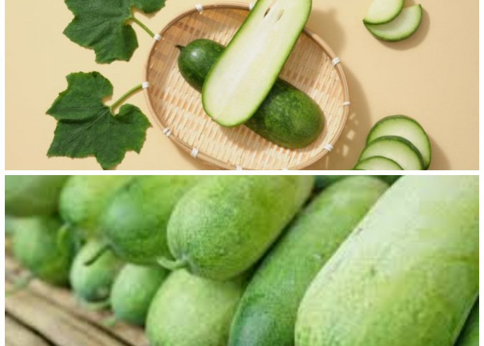 Mengungkap Khasiat Buah Kundur: Rahasia Sehat yang Jarang Diketahui