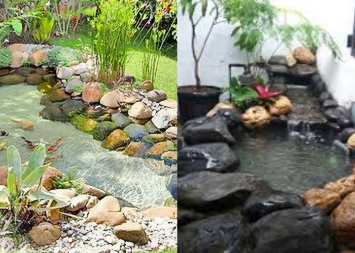 Desain Kolam Ikan Depan Rumah: Sentuhan Estetik dan Natural yang Menenangkan!