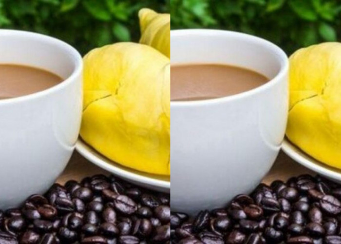 Kuliner Khas Ogan Komering Ulu, Dengan Cita Rasa Khasnya!