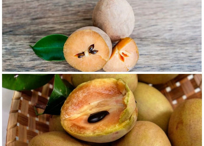 Buah Sawo Ternyata Kaya Nutrisi! Ini Deretan Manfaatnya untuk Daya Tahan dan Kesehatan Tubuh