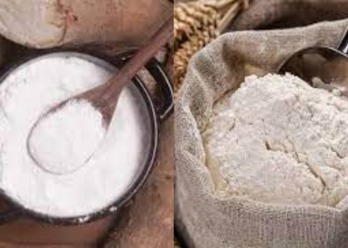 Yuk Kenali 7 Manfaat Sagu Untuk Kesehatan Tubuh Yang Luar Biasa!