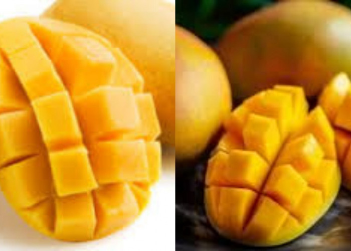 7 Manfaat Buah Mangga untuk Kesehatan dan Ibu Hamil Yang Harus Kalian Tahu!