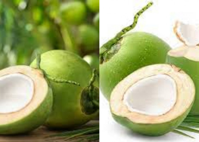 Simak! 8 Manfaat Buah Kelapa Untuk Kesehatan Yang Jarang Diketahui