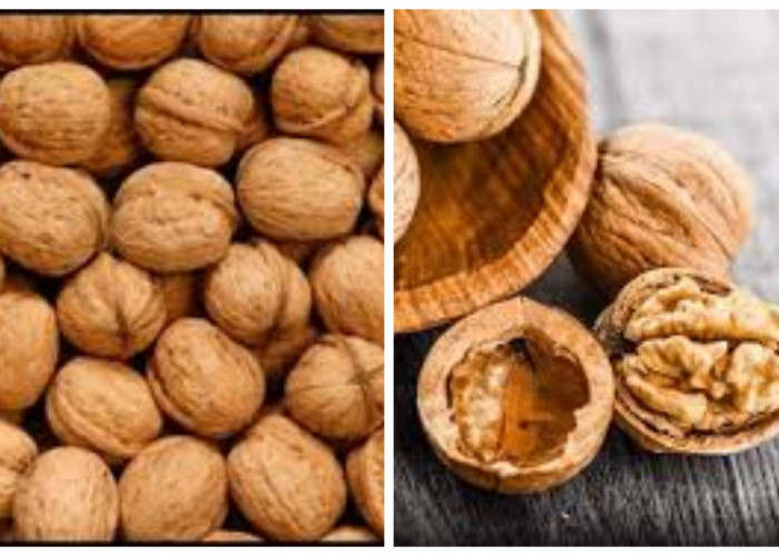 Bantu Jaga Kesehatan Jantung, Ini 5 Manfaat Kacang Kenari