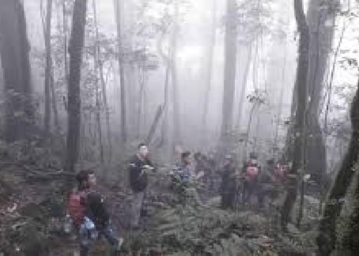 Menelusuri Sejarah Gunung Betung: Antara Mitos dan Realita