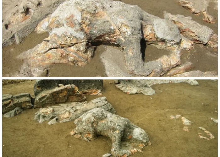 Sejarah Legenda Malin Kundang: Kisah Anak Durhaka dari Ranah Minang yang Melegenda!