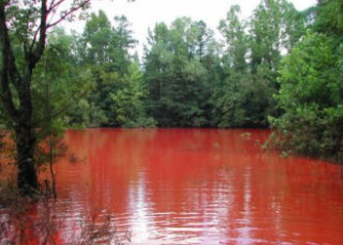 Misteri Danau Merah! Berada Di Kota Wisata Pagar Alam Sumsel