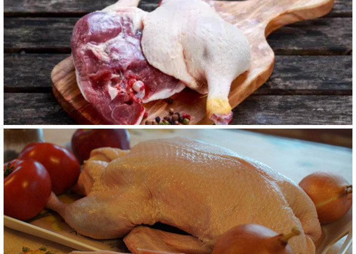 Mengungkap Rahasia Manfaat Ajaib dari Mengkonsumsi Daging Bebek yang Baik untuk Kesehatan 