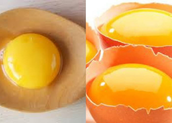 Yuk Intip! Manfaat Kuning Telur Untuk Kesehatan dan Tips Sehat Mengonsumsinya