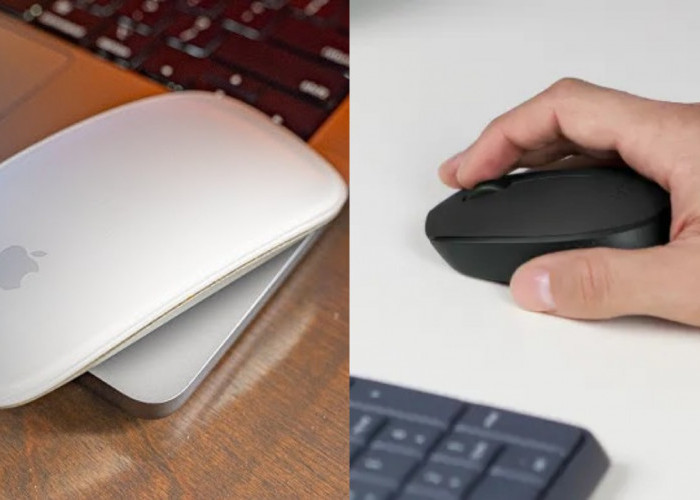 Mouse Apa yang Paling Cocok untuk MacBook? Ini 4 Rekomendasinya!