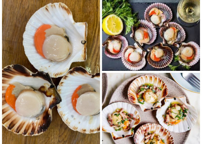 Kerang Simping? Inilah Manfaat, Khasiat dan Kandungan Nutrisinya!