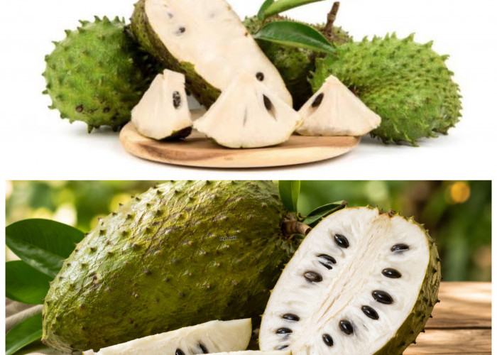5 Manfaat Buah Sirsak untuk Kesehatan, Kaya Nutrisi dan Baik Dikonsumsi Setiap Hari!