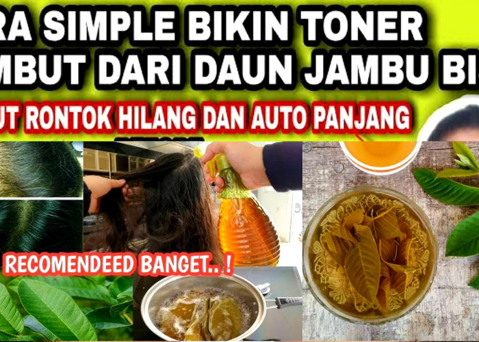 Daun Jambu Biji Untuk Perawatan Rambut Sehat? Begini Cara Memanfaatkannya