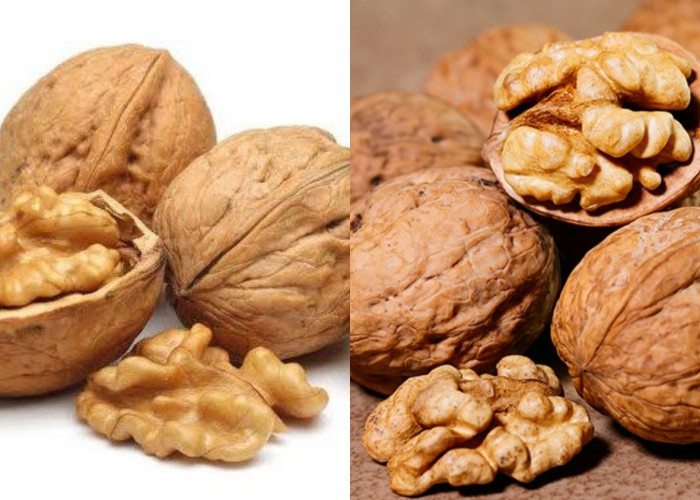 Membantu Mengontrol Berat Badan Teryata Ini Manfaat Dari Kacang Kenari Untuk Kesehatan Yang Luar Biasa! 