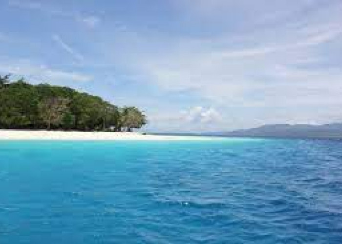 Bikin Penasaran! inilah Keindahan Pulau Molana yang Eksotis di Maluku, Wajib Banget Kesini! 