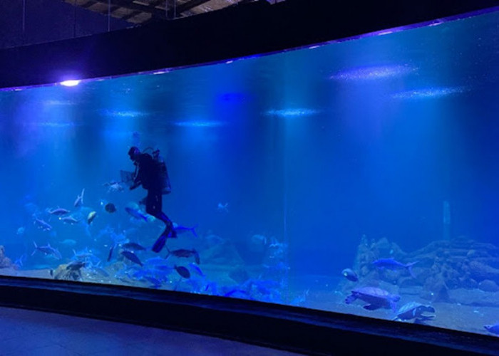 Tak Hanya Soal Pemandangan Alam, Ternyata di Indonesia Terdapat Aquarium Raksasa loh!
