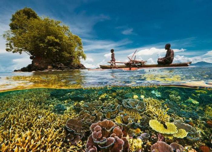 Bikin Seger Otak dan Otot, Ini 6 Destinasi Wisata Papua Nugini Terpopuler dan Lagi Hits