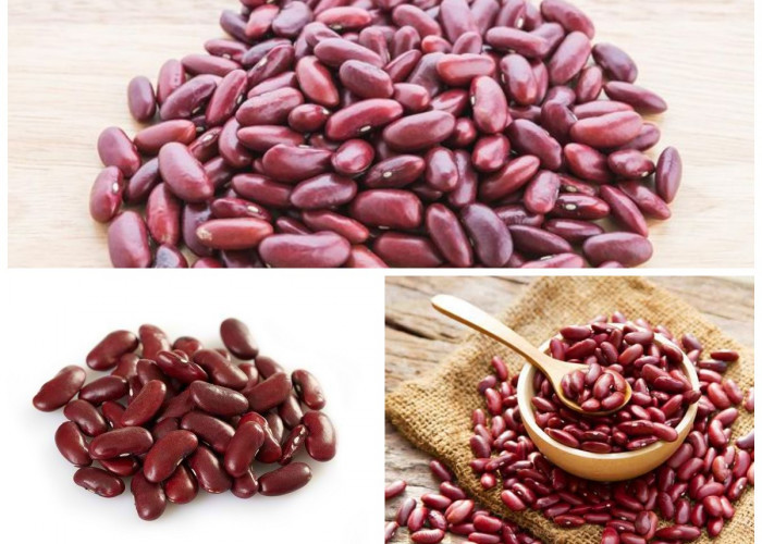 Manfaat Kacang Merah bagi Kesehatan Tubuh: Sumber Protein Nabati yang Kaya Nutrisi dan Baik untuk Jantung