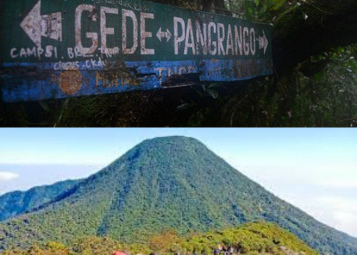 Benarkah Ada Raksasa Hitam di Gunung Gede Pangrango?! Mitos atau Fakta?