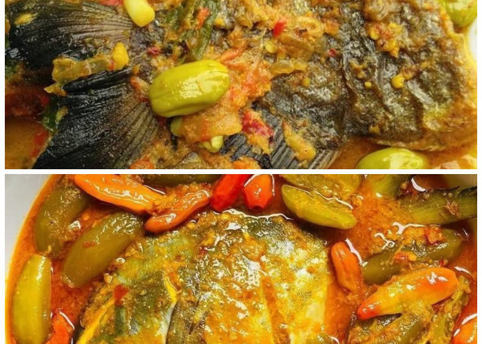 Lezat dan Nikmat! Coba Tips Memasak Gulai Ikan Bawal yang Menggugah Selera