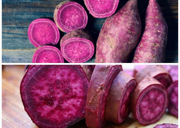 Khasiat Ubi Ungu: Solusi Alami untuk Kesehatan Kulit dan Tubuh