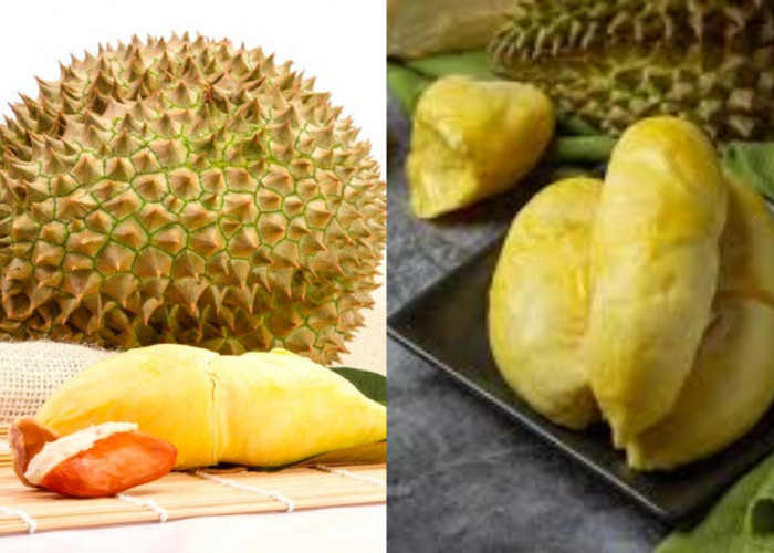  Catat! Inilah Manfaat Biji Durian untuk Tingkatkan Kesuburan Pria