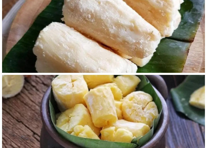 Jarang Diketahui, Ini 7 Manfaat Tape Singkong yang Baik untuk Kesehatan