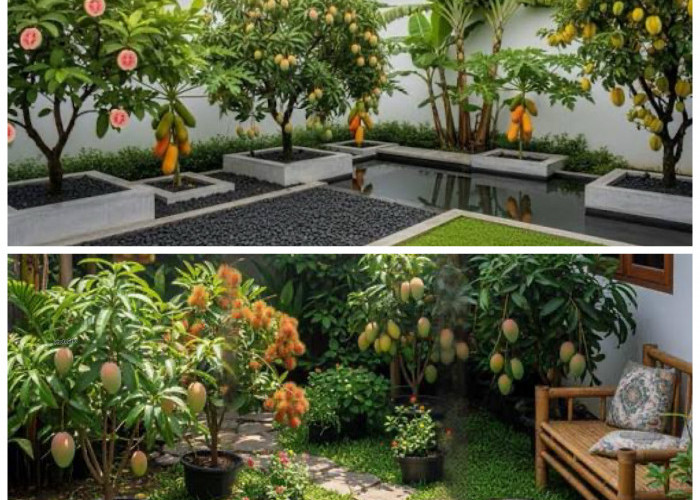 Tak Cuma Cantik, 10 Pohon Buah Ini Bikin Halaman Rumah Lebih Hidup dan Panen Sendiri!