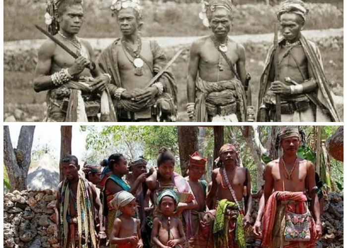 Eksplorasi 5 Suku Berpengaruh di Nusa Tenggara Timur: Sejarah, Budaya, dan Kekuatan Lokal