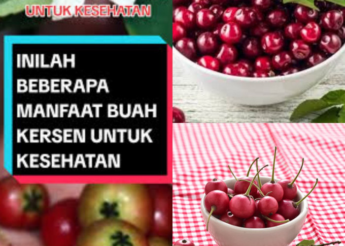 Buah Kersen, Obat Alami yang Jarang Diketahui! Siap Coba?