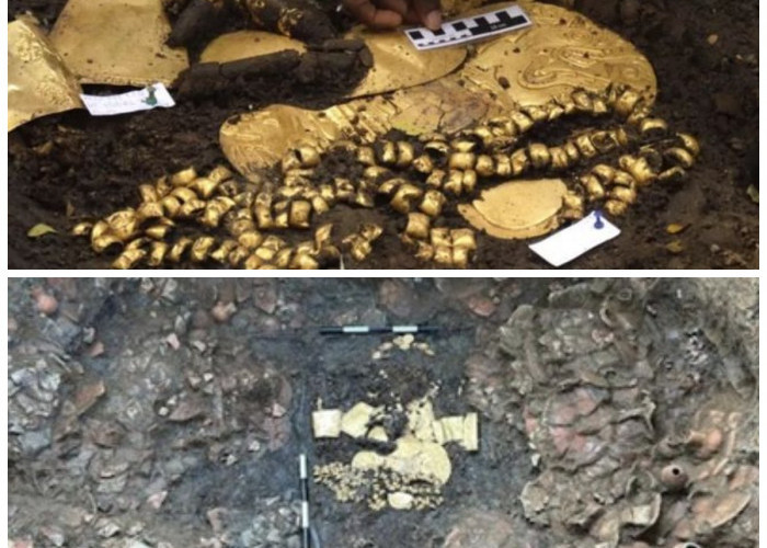 Bikin Heboh!  Arkeolog di Panama dengan Tumpukan Emas yang Terkubur di Makam Berusia 1.200 Tahun 
