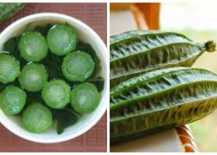 Oyong, Pahami Kandungan, Manfaat, dan Metode Konsumsinya