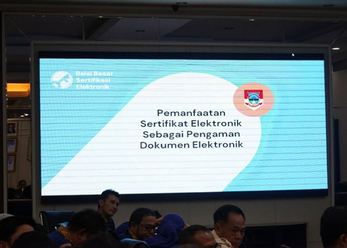 TTE Bagian Transformasi Digital Pemerintahan