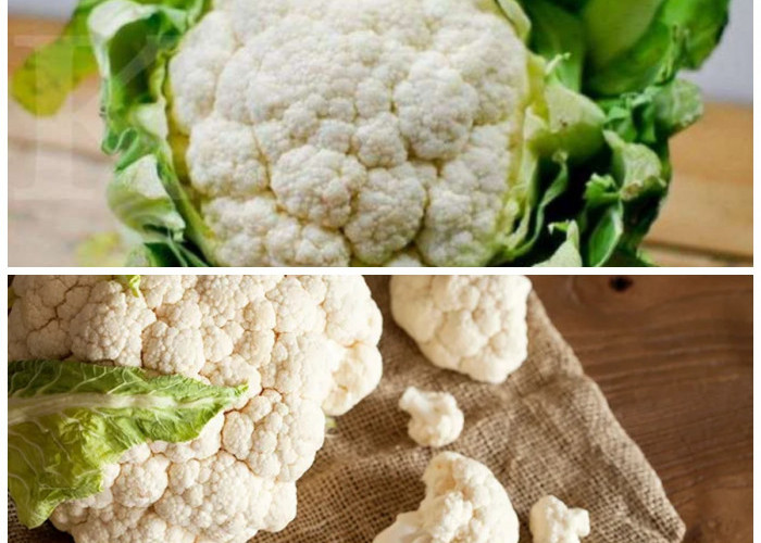 Rahasia Sehat di Balik Kembang Kol: Sayuran Putih dengan Segudang Khasiat!