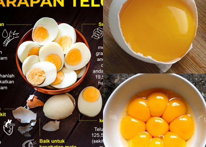 Siapkah Anda Mencoba Kuning Telur untuk Kesehatan? Ini 5 Alasan Mengapa Anda Harus!