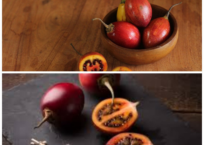 Kaya Vitamin C! Ini Manfaat Luar Biasa Terong Belanda untuk Kesehatan