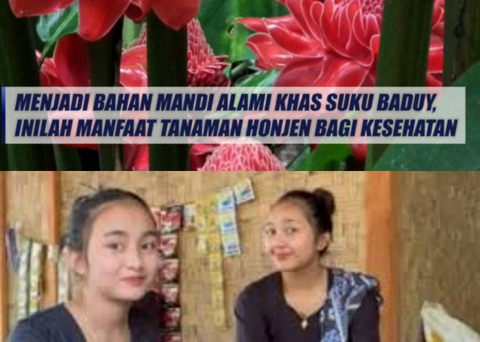 Mau Kulit Sehat dan Cerah? Temukan Manfaat Lempuyang dari Suku Baduy!