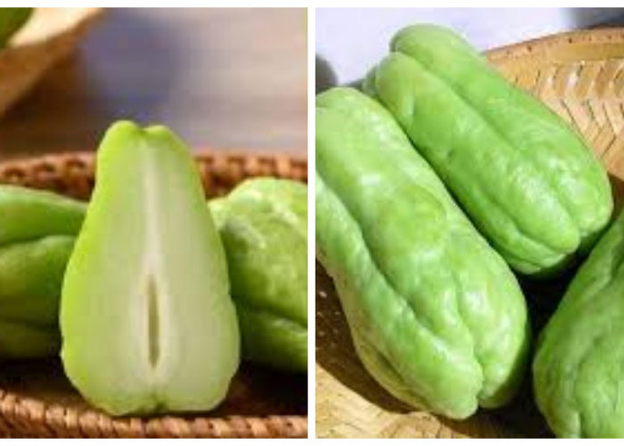  Manfaat Labu Siam untuk Kolesterol hingga Anemia