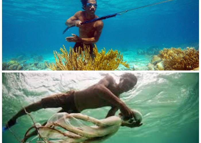 Suku Bajau: Eksplorasi Kehidupan dan Keterampilan Menyelam yang Mengagumkan dari Para Pengembara Laut