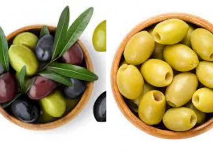 Yuk Ketahui 9 Manfaat Buah Zaitun Untuk Kesehatan Tubuh Yang Luar Biasa!