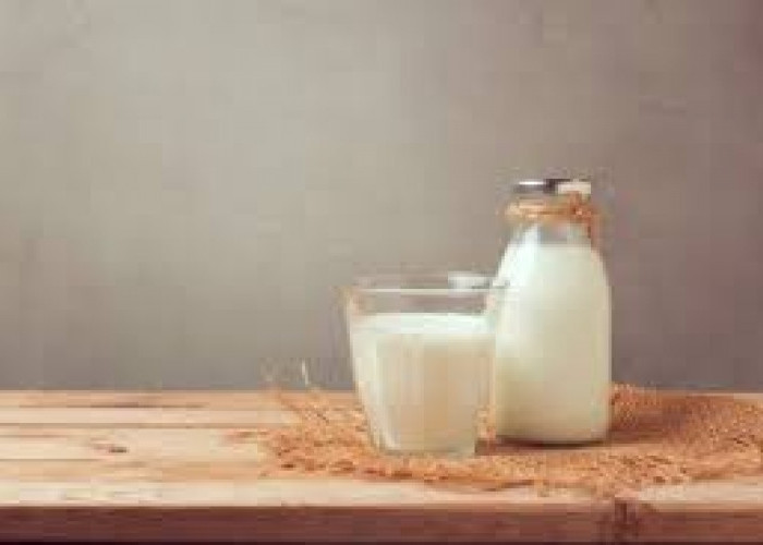 Kaya Akan Manfaat, ini Dia 8 Khasiat Minum Susu Kerbau untuk Kesehatan 