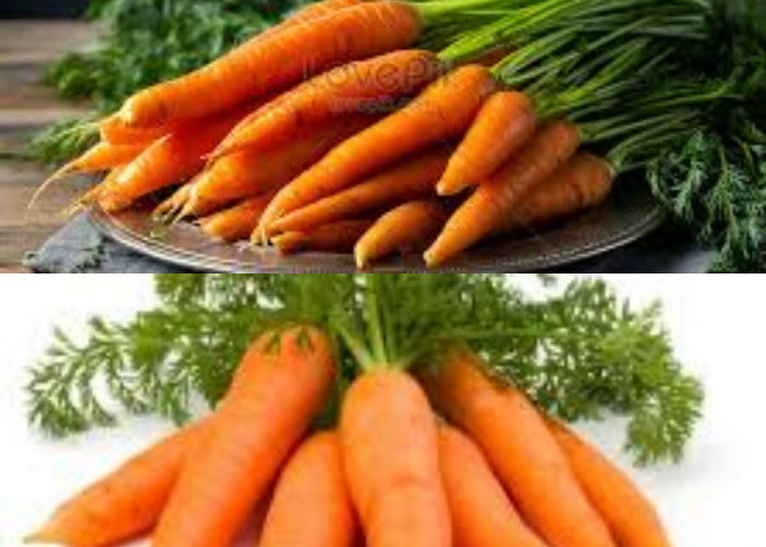9 Khasiat Wortel untuk Kesehatan dan Nutrisi yang Terkandung!