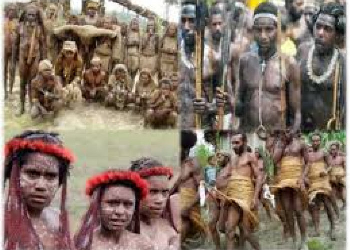 Minat Turis Terhadap Suku di Papua Tinggi, Ini Daftar 4 Sukunya!
