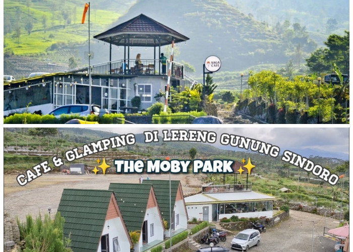 Moby Park Wonosobo, Glamping Seru di Pelukan Keindahan Pegunungan